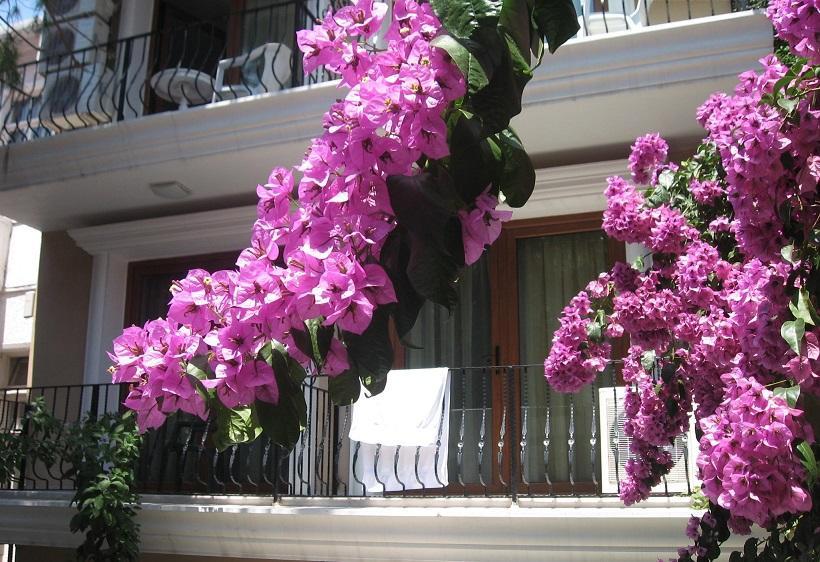 Kumsal Butik Hotel Istanbul